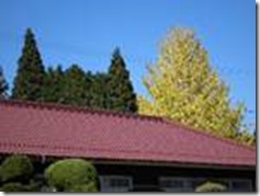 clip_image002