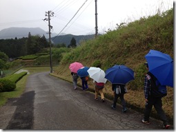 0515雨の登校