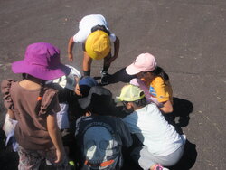 IMG_1277.JPG