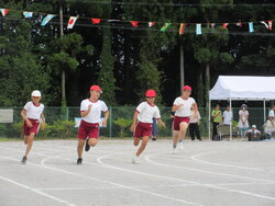 IMG_2222.JPG