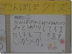 CIMG1584