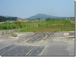 DSC05489