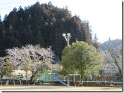 IMG_5041 IMG_5041