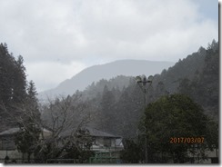 IMG_5065 IMG_5065