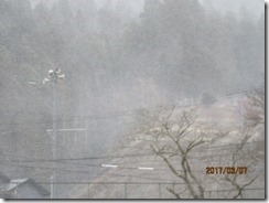 IMG_5068 IMG_5068