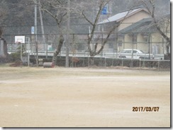 IMG_5070 IMG_5070