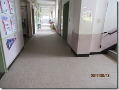 IMG_1093 IMG_1093