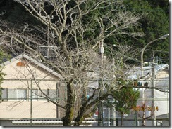 IMG_2025 IMG_2025