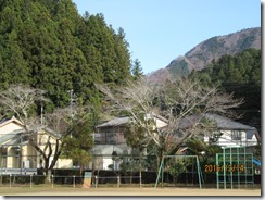 IMG_2026 IMG_2026