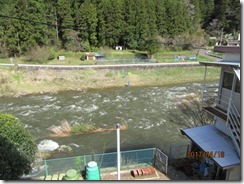 IMG_6341 IMG_6341