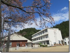 IMG_6378 IMG_6378