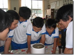 IMG_5607 IMG_5607