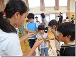 DSC04000 DSC04000