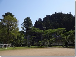 DSC04423 DSC04423