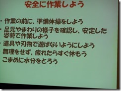 DSCN0517