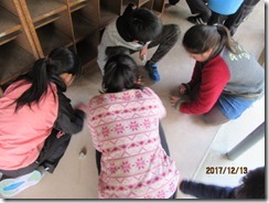 IMG_5727 IMG_5727