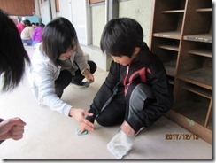 IMG_5734 IMG_5734