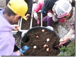 IMG_6586 IMG_6586