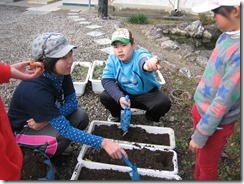 IMG_6591 IMG_6591