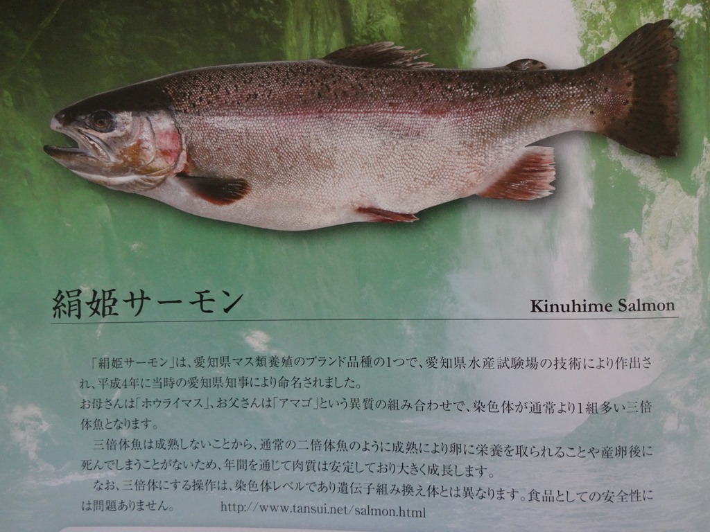 改訂 淡水魚養殖相談（第2版）☆品切れ重版未定☆』石田力三他著