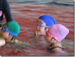 IMG_3025_R