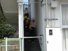 IMG_9161.JPG