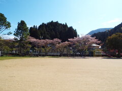 DSCF9011.JPG