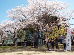 DSCF9859.JPG