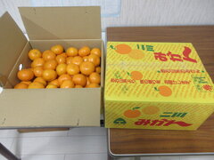 IMG_1037【ブログ用】.JPG