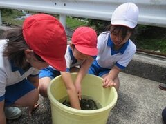 IMG_1679.JPG