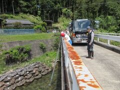 IMG_1682.JPG