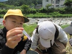 IMG_1886.JPG