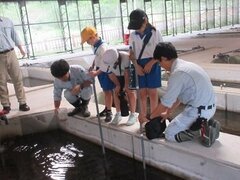 IMG_2249.JPG