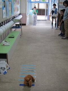 IMG_1252.JPG