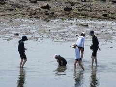 IMG_4573.JPG