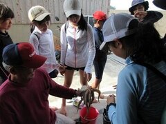 IMG_4616.JPG