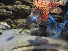 IMG_5082.JPG