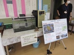 IMG_4950.JPG