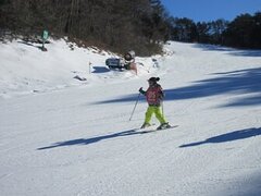 IMG_5303.JPG