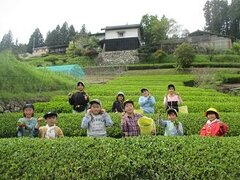 IMG_3310.JPG