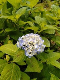 DSC_0228.jpg