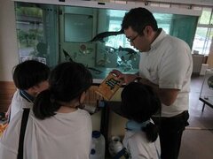 IMG_1125.JPG