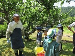 IMG_1385.JPG