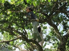 IMG_1407.JPG
