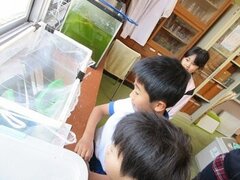 IMG_2041.JPG