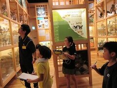 IMG_1510.JPG
