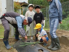 IMG_1752.jpg