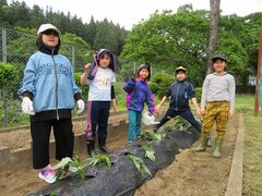 IMG_1771.jpg