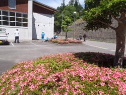 P6040043.JPG