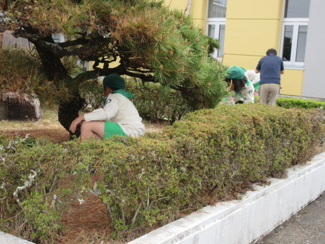 http://www.kitashitara.jp/taguchi-el/22be36c70c082c0a0eaaf071789425fcb63a5841.JPG